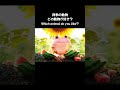 【ASMR】どの月の動物が欲しい？ #asmr  #satisfying  #relaxing  #cute  #ai  #egg #animals #month  #kawaii