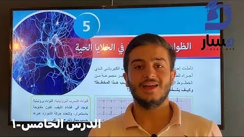 علوم بكالوريا سوريا-الدرس الخامس الجهاز العصبي