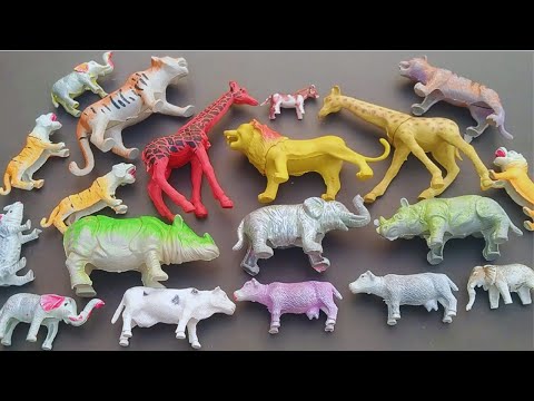 Animals toy set unboxing-Find Cow  horse lion tiger camel sheep elephant Giraffe.