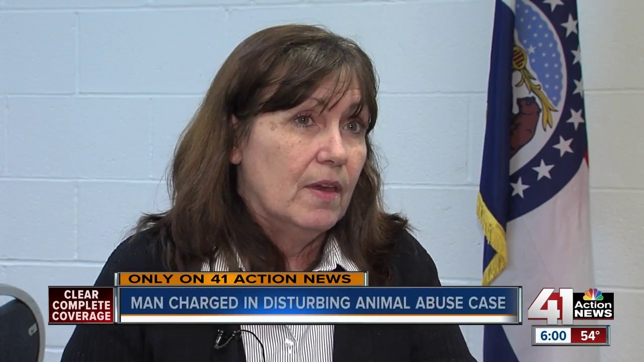 Man charged in disturbing animal abuse case - YouTube