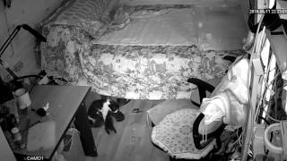 camera72016 09 0815 57 00 2016 09 0816 05 00