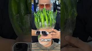 The Craziest Haircuts #shorts #hair