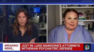 Misty Marris Breaks Down Luigi Mangione Defense Reversal in CEO Murder Case