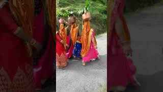 Golu devta ki kalash yatra