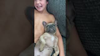 Our Frenchie Snores So Loud