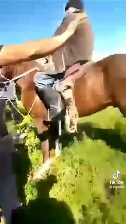 Мен жыныс мүшесін өсіру үшін не істеуім керек?