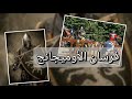 فرسان الأوميجانج لازم ييجوا مصر فرسان الأوميجانج لازم ييجوا مصر