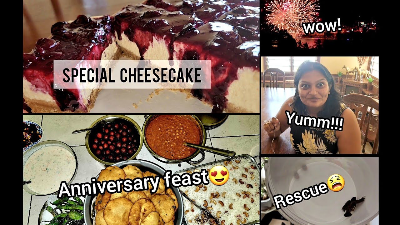 Best EVER Blueberry Cheesecake| Happy Anniversary😍| Bird fell out again😫 #vlog #youtube #food