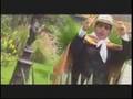 MI CASITA - JILGUERO MUQUIYAUYINO