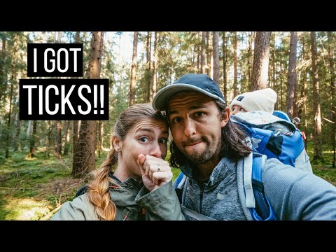 HIKING IN THE GERMAN FOREST! (I got ticks!)