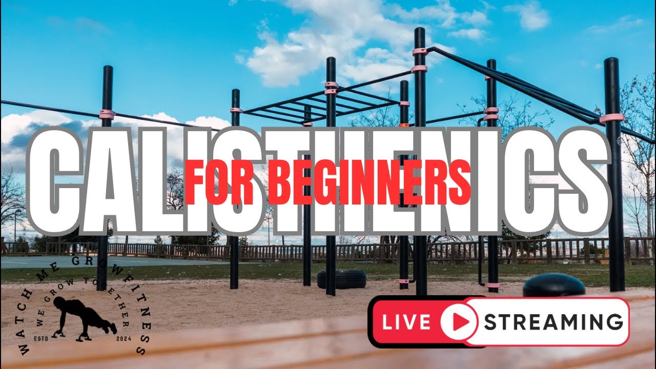 Calisthenics In The Park For Beginners beginners YouTube
