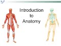 Introduction of anatomy 1    مقدمة عن علم التشريح