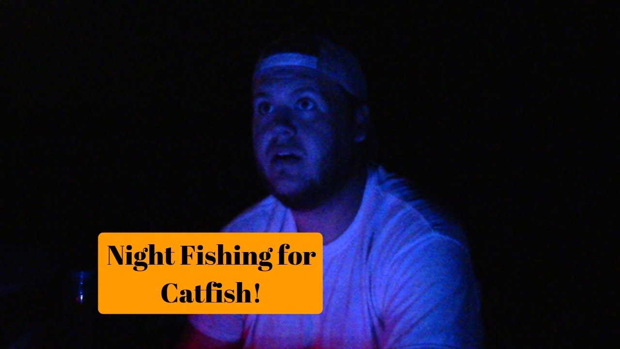 Summer Time Catfishing at Night! YouTube
