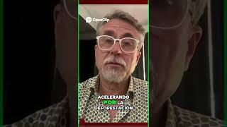 TWP EP 373: Salud del planeta 🌍 La verdad que ignoramos
