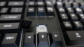 BlackWeb Gaming Starter Keyboard Typing Sound - Membrane