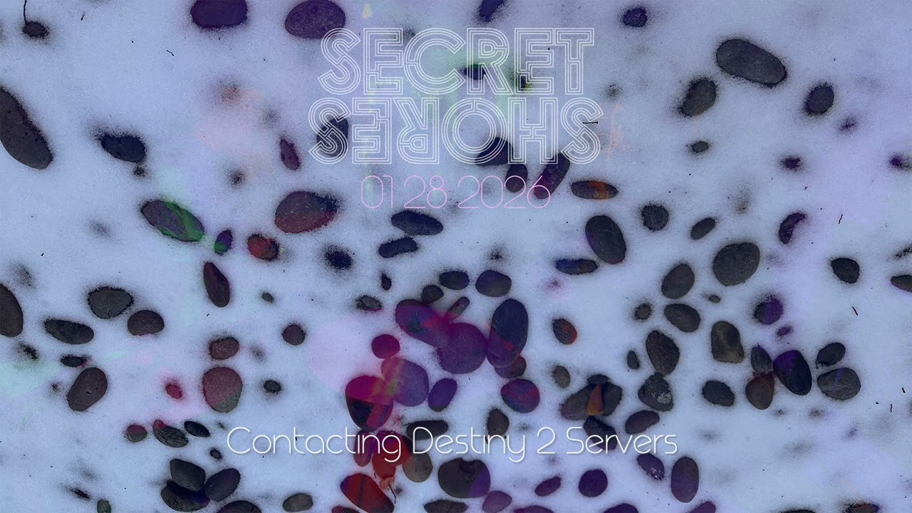 Contacting Destiny 2 Servers