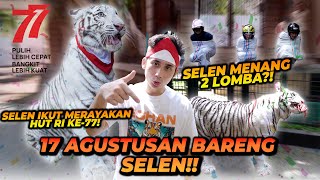 LOMBA 17 AGUSTUSAN BARENG SELEN ! HARIMAU PUTIH BISA MENANG 2 LOMBA ?!