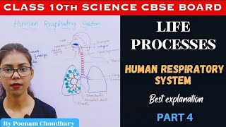 Human respiratory system || Life processes class 10 science || CBSE board || Poonam Choudhary