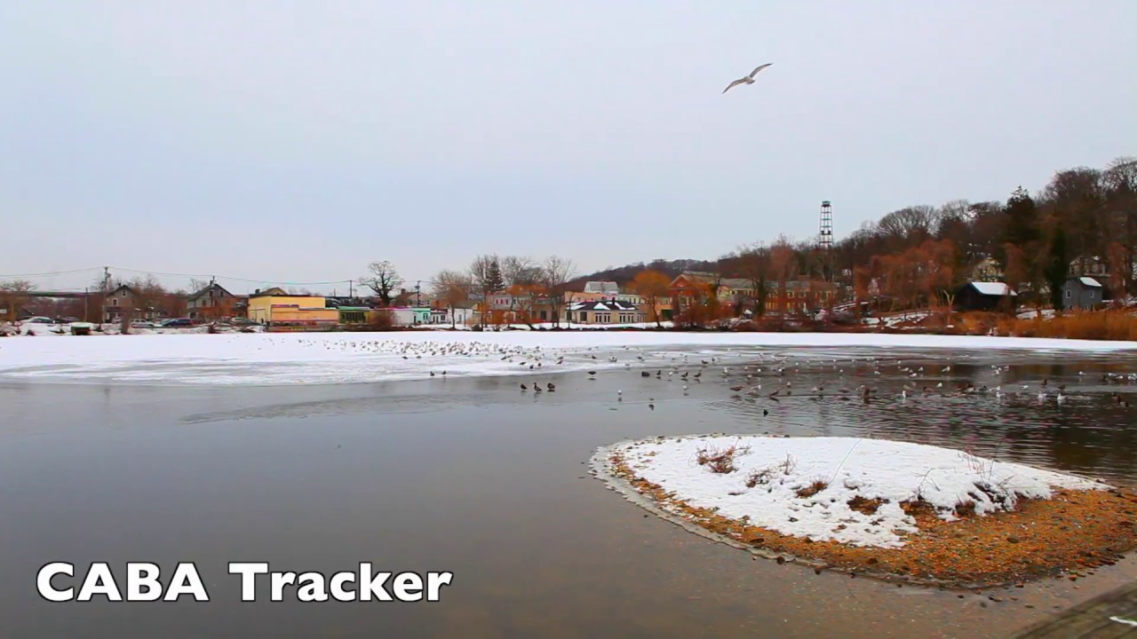 Gerry Pond Park, Long Island, NY YouTube
