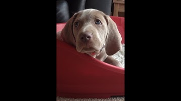 UnsunG - Separate (official music video)