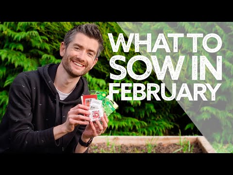 Video: What To Sow In The Second Half Of February