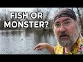 Any Alewives at the Fish Ladder? Plus a Sea Monster Sighting!