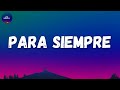 Daddy Yankee ft  Sech - Para Siempre (Letra/Lyrics)