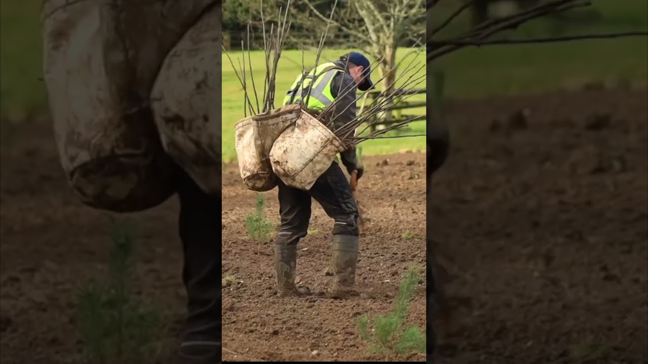 Monart Destination Spa - 2,500 Native trees planted.