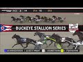 I Fear Nothing - Buckeye Stallion Series