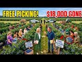 HOA Karen Opened My Blueberry Farm to STRANGERS — $18,000 Gone in HOURS 😱
