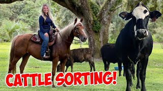 WORKING CATTLE WITH MY NEW HORSE! | FARM VLOG! *MUST WATCH*