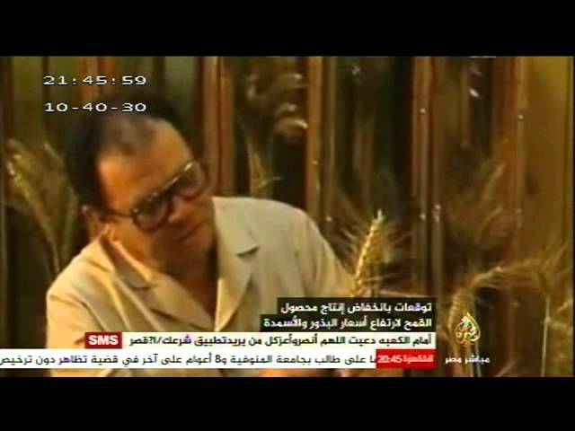 توقعات بانخفاض إنتاج محصول القمح لارتفاع أسعار البذور والأسمدة