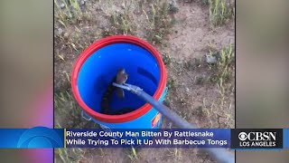 Riverside County Man Bitten By Rattlesnake While Trying To Pick It Up With Barbecue Tongs
