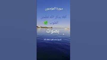 🍀سورة المؤمنون🍀 بصوت محمد لفقيه