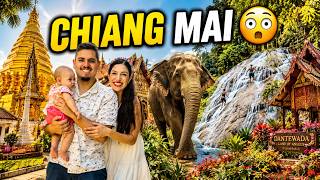 Chiang Mai 2026  Qu Hacer  Gua Completa templos Elefantes Dantewada Sticky Falls