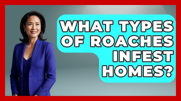 What Types Of Roaches Infest Homes? - Insects and Invaders