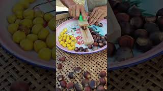 Design inteligente de ferramentas de madeira, uma pressãopar abrir conchas de castanha,,temp e esfor