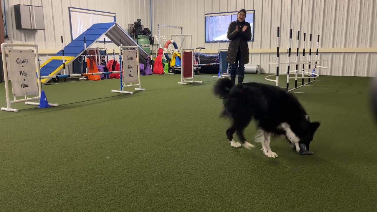 Mia bypassing weave polls 02282026