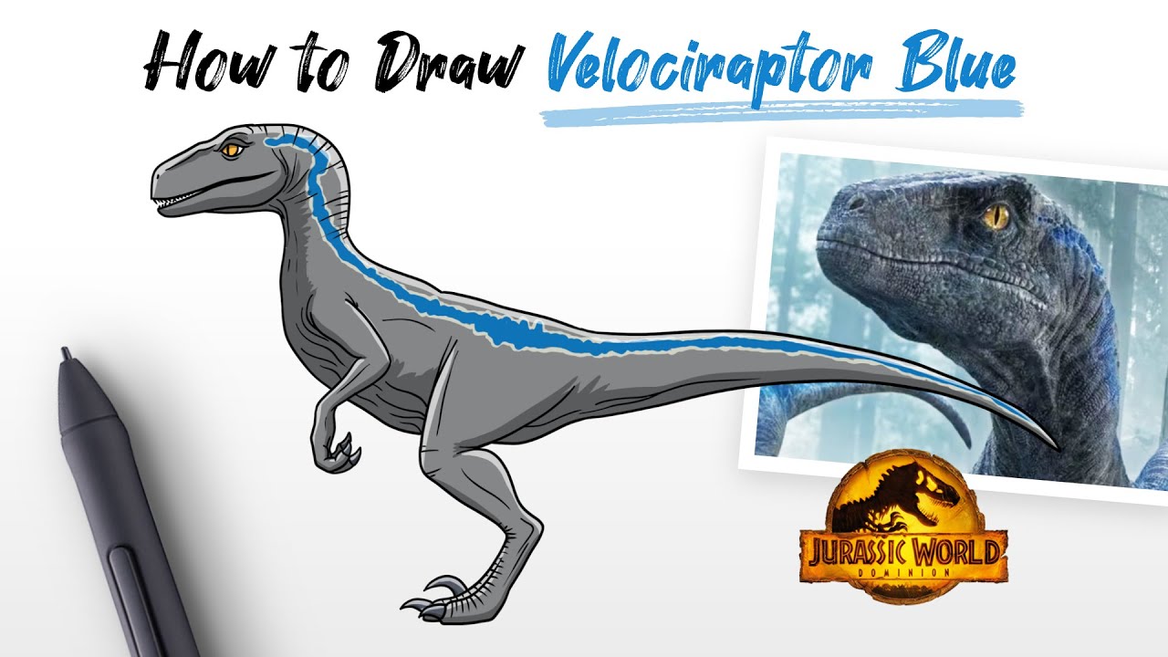 How To Draw Velociraptor Blue Raptor Dinosaur From Jurassic World And ...