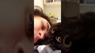 Cute Kitty Gives Kisses on Command || ViralHog