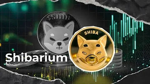 Shiba Inu BREAKING NEWS: Major 2026 Shibarium Privacy Upgrade Revealed | SHIB Price Impact?