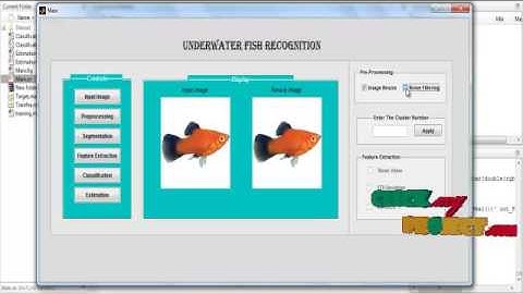 A Feature Learning and Object Recognition Framework for Underwater | Final Year Projects 2016 - 2017