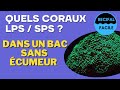 Quels coraux sps et lps sans cumeur ni dcante 