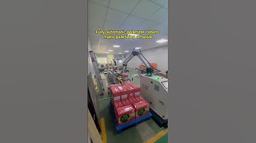 Fully automatic palletizer robots make palletizing a hassle #machine #roboticpalletizer