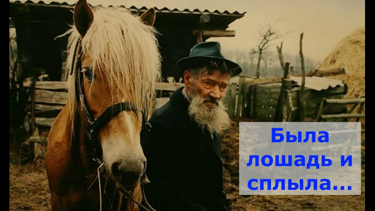 Конюх ссср. Кучер 19 века. Конюх фото. Старик в конюшне. Забрать из ясель или яслей.