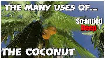 STRANDED DEEP-The many uses of the Coconut