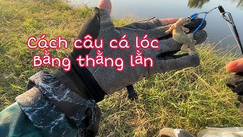 Snakehead Fishing Lure Snakehead Fish Using a Lizard. How to Hook a Lizard for Snakehead Fishing ...