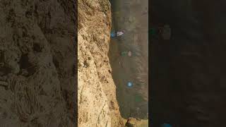 RCC drain work in Railway siding #buildingservicesengineering #construction