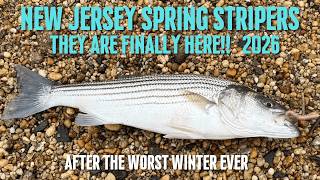 New Jersey Spring Striped Bass 2026