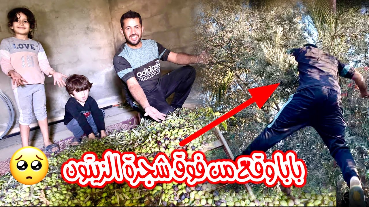 يوم حزين 😭 بابا وقع من فوق شجرة الزيتون
